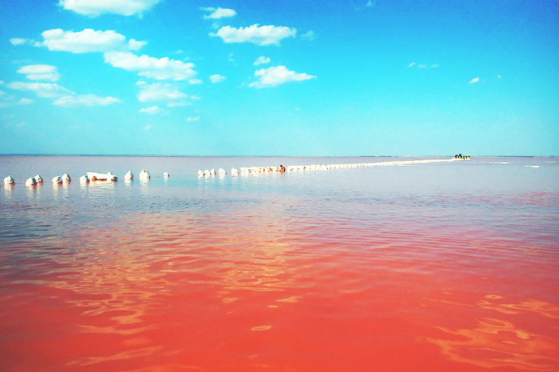 Розовое соленое озеро в Крыму